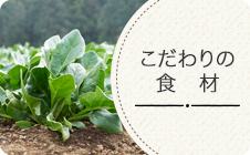 こだわりの食材　プライム野菜工房
