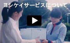 YouTube動画