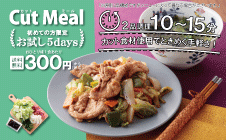 初めての方限定！お試し5days｜カットミール